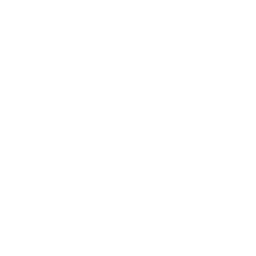 TrueCV career services